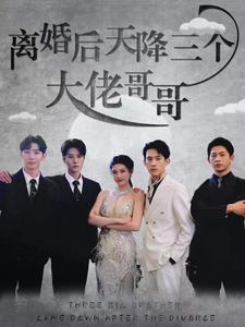 離婚后天降三個(gè)大佬哥哥