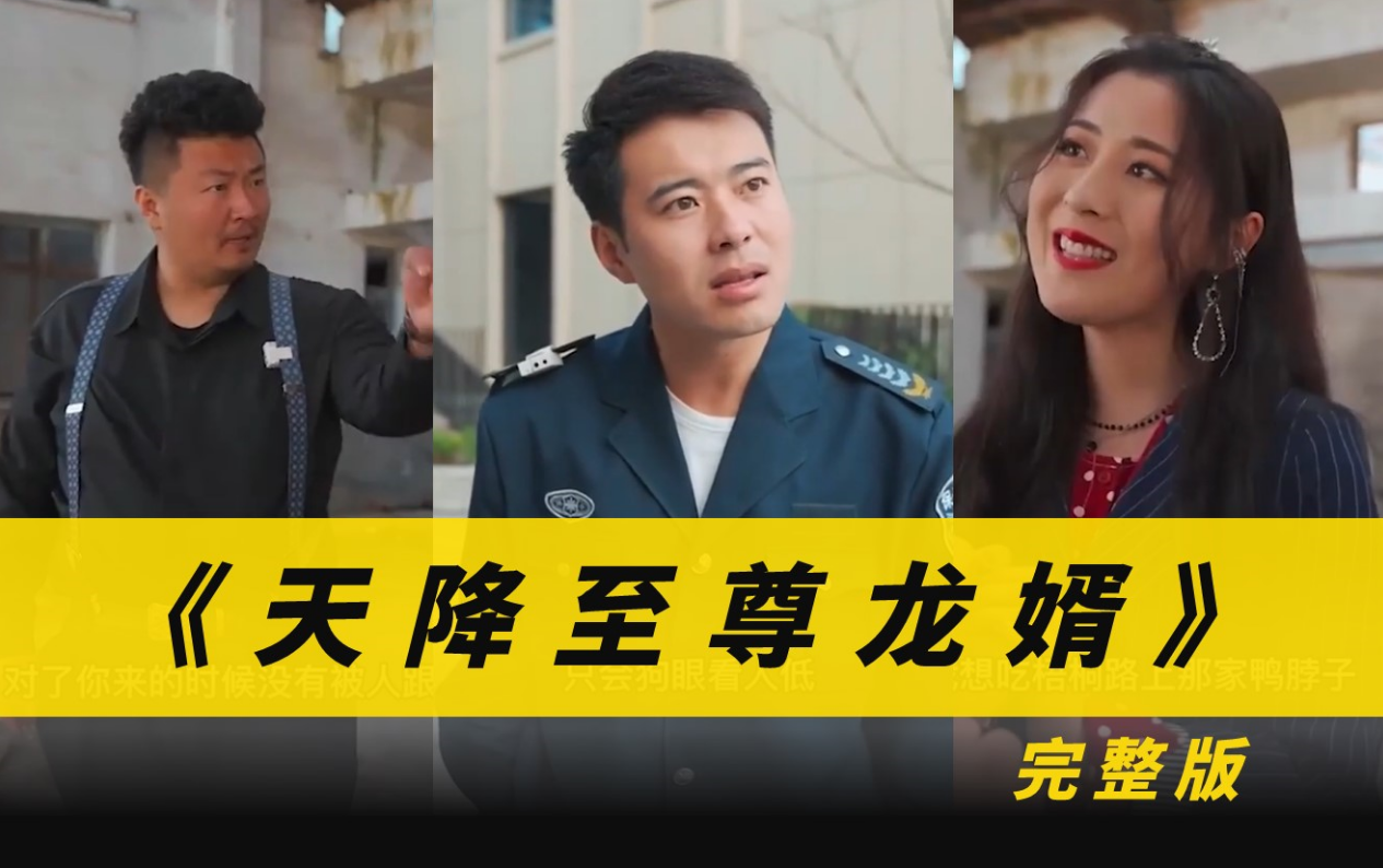 天降至尊龍婿