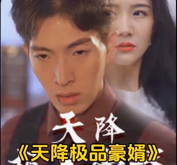 天降極品豪婿
