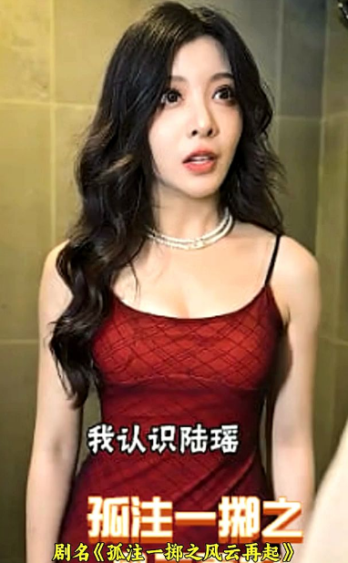 孤注一擲之風(fēng)云再起