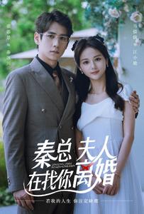 秦總，夫人在找你離婚