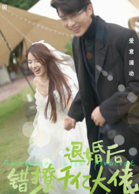 退婚后，錯(cuò)撩千億大佬