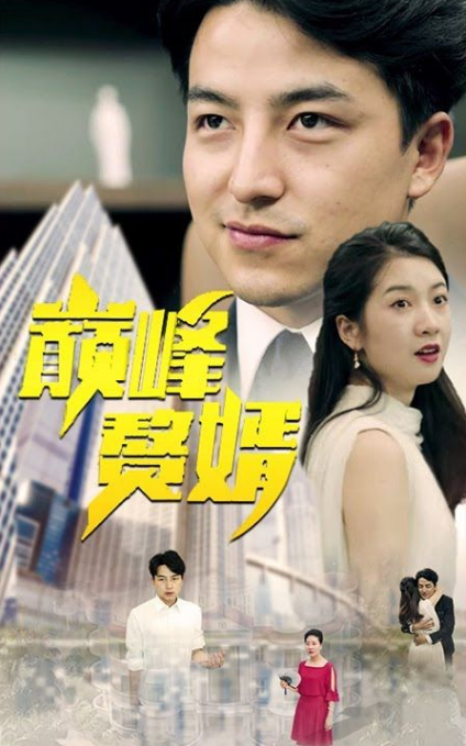 巔峰贅婿