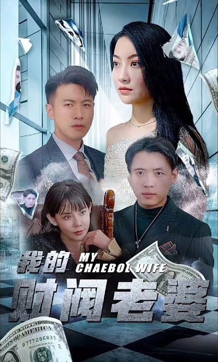 我的財(cái)閥老婆