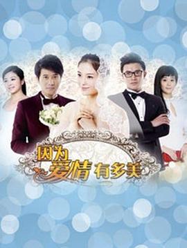 因?yàn)閻矍橛卸嗝繢VD版