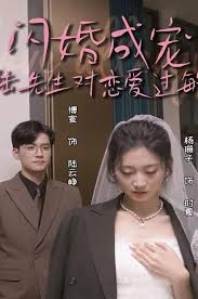 閃婚成寵，陸先生對(duì)戀愛過敏