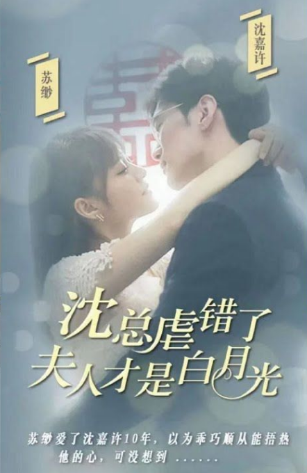 沈總虐錯了夫人才是白月光