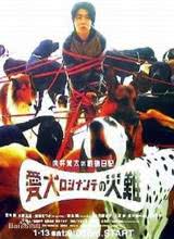 向井荒太的動物日記