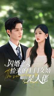 閃婚之撿來(lái)的上門(mén)女婿是大佬