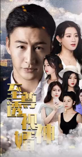 至尊透視神婿