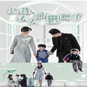 總裁，夫人帶崽跑了