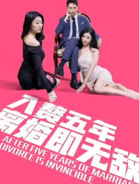 入贅五年，離婚既無敵