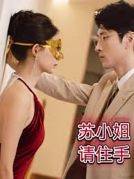 蘇小姐請住手