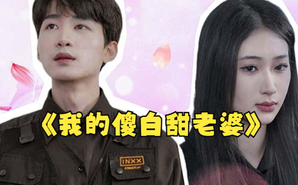我的傻白甜媳婦（神龍狂婿）
