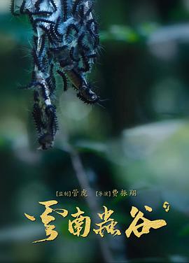 云南蟲(chóng)谷