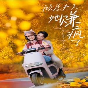 顧總夫人她賺瘋了