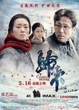 歸來(lái)2014[電影解說(shuō)]