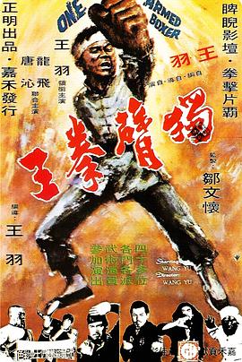 獨(dú)臂拳王1972[電影解說]