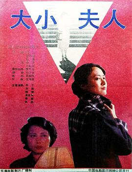 大小夫人[電影解說(shuō)]