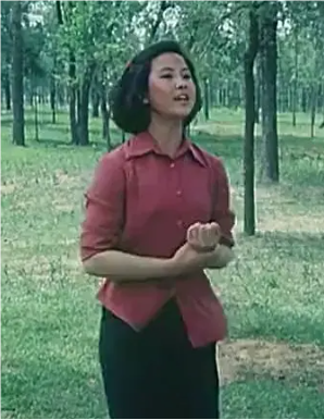 酸辣情緣