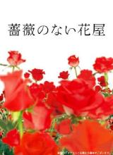 沒(méi)有玫瑰的花店