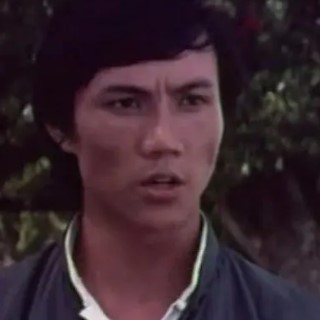 功夫無(wú)敵拳