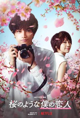 我的櫻花戀人[電影解說(shuō)]