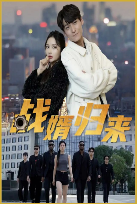 戰(zhàn)婿歸來(lái)