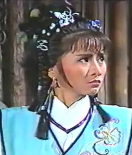 護(hù)國(guó)英雄傳