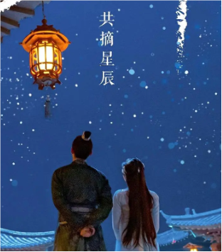 柳葉攬星河