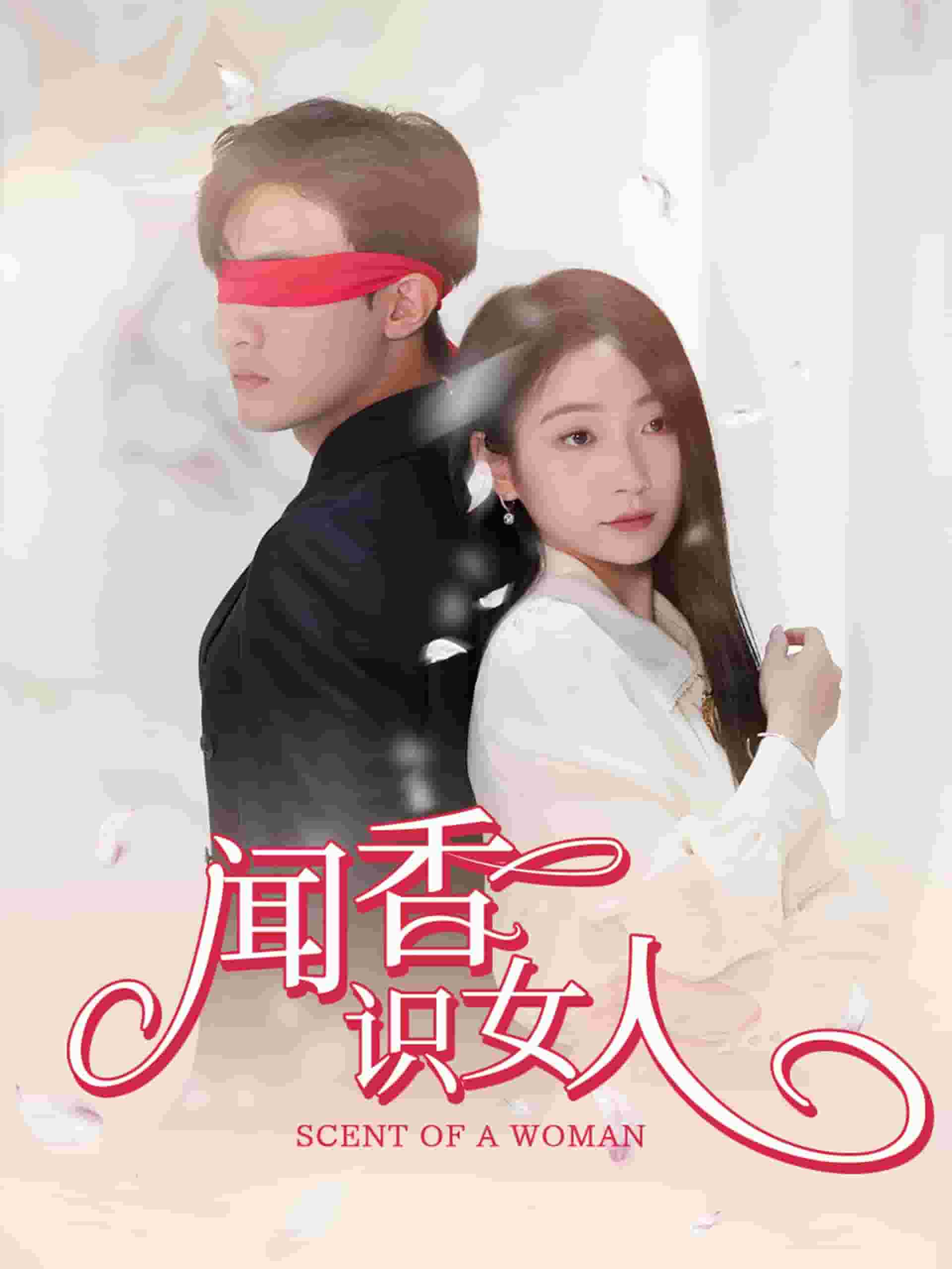聞香識女人 短劇版